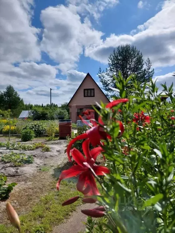 Дом в Коми, Сыктывдинский район, Выльгорт муниципальное образование, ... - Фото 1
