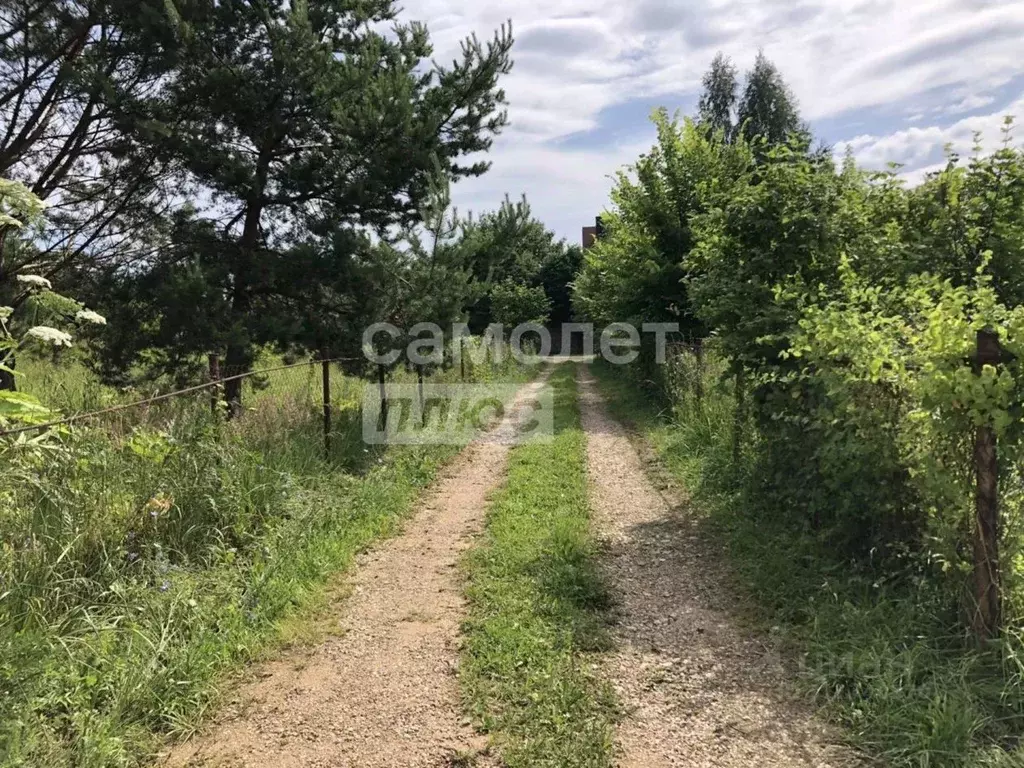 Участок в Московская область, Серпухов городской округ, д. Станково  ... - Фото 1