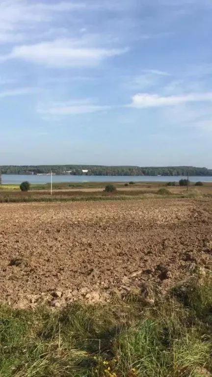 Участок в Нижегородская область, Чкаловск городской округ, д. Высокая  ... - Фото 0