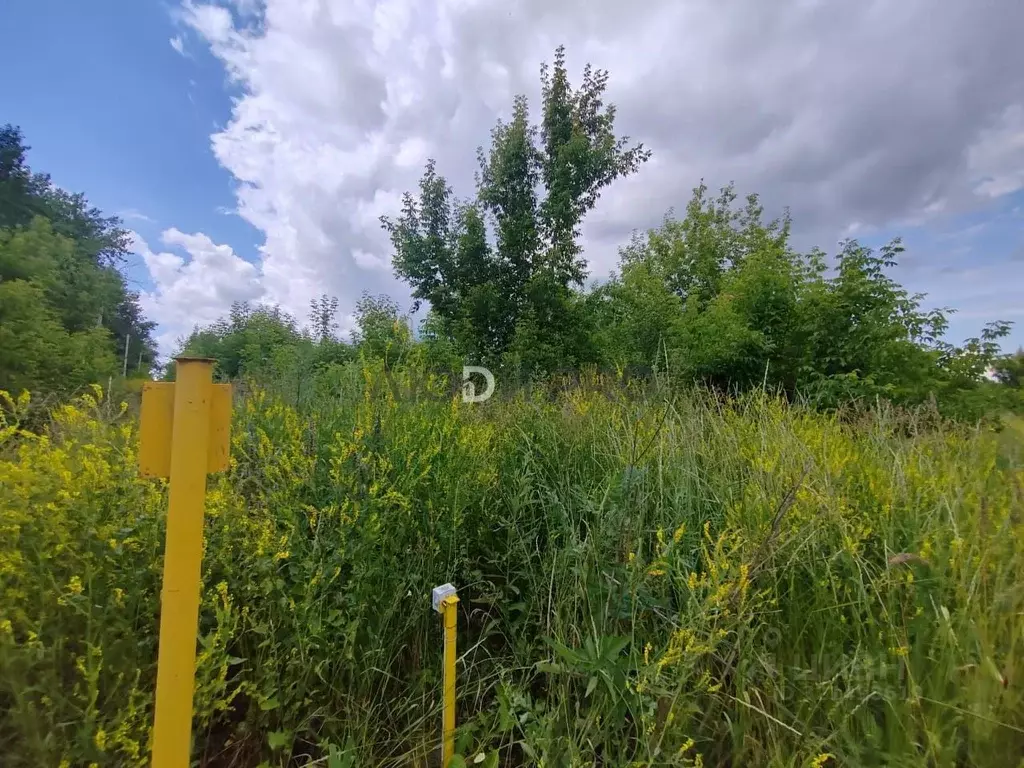 Участок в Алтайский край, Барнаул городской округ, пос. Бельмесево ул. ... - Фото 0