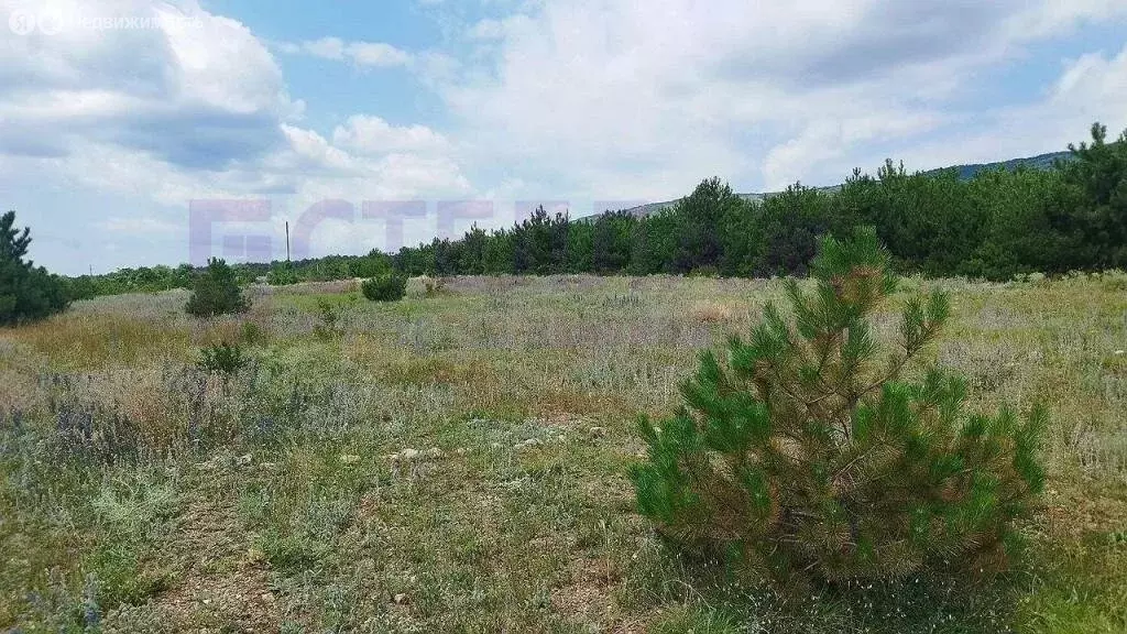 Участок в Старый Крым (6 м) - Фото 1