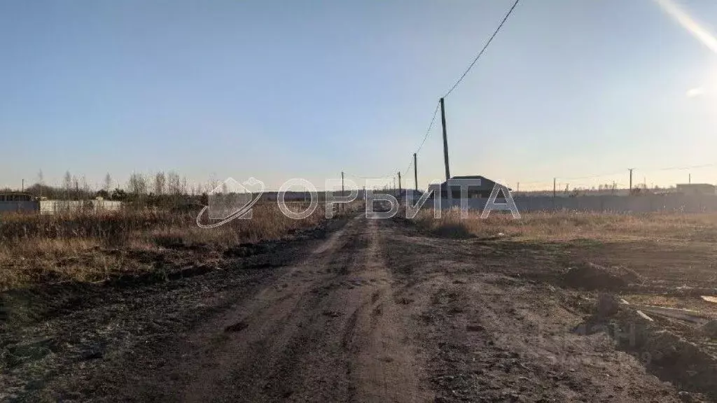 Участок в Тюменская область, Нижнетавдинский район, Царицыно СНТ  (9.5 ... - Фото 0