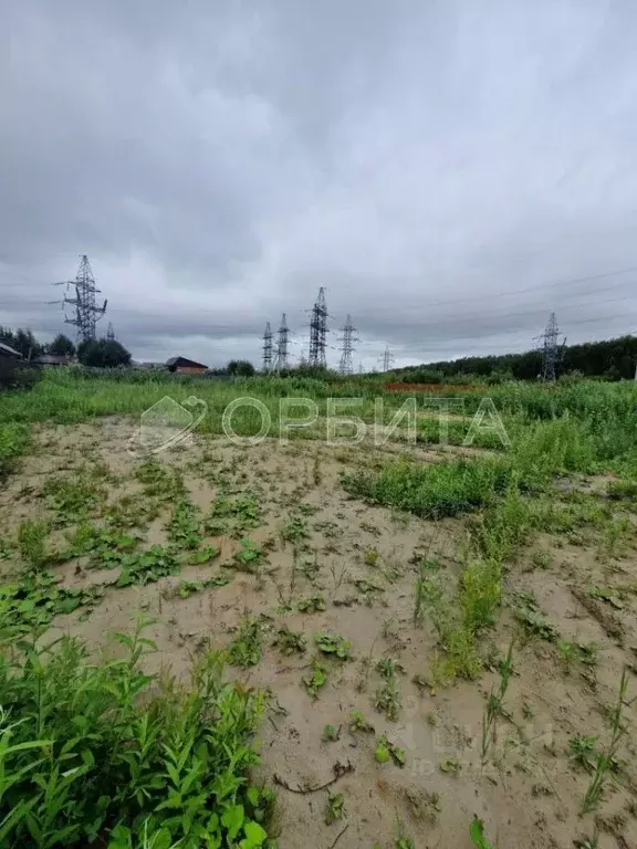 Участок в Тюменская область, Тюменский муниципальный округ, д. ... - Фото 1
