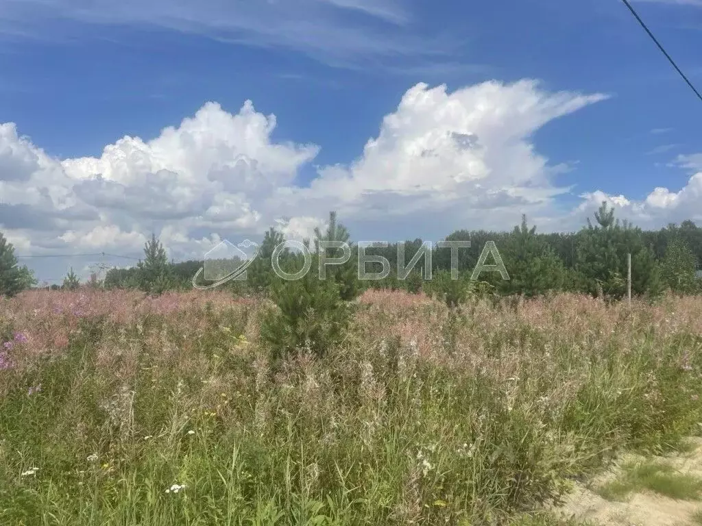 Участок в Тюменская область, Тюменский район, д. Елань 14 (7.0 сот.) - Фото 1