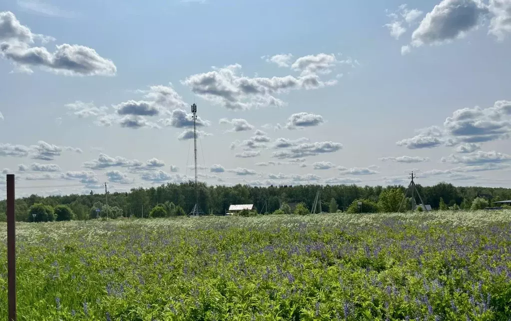 Участок в Московская область, Ступино городской округ, Новое ... - Фото 1