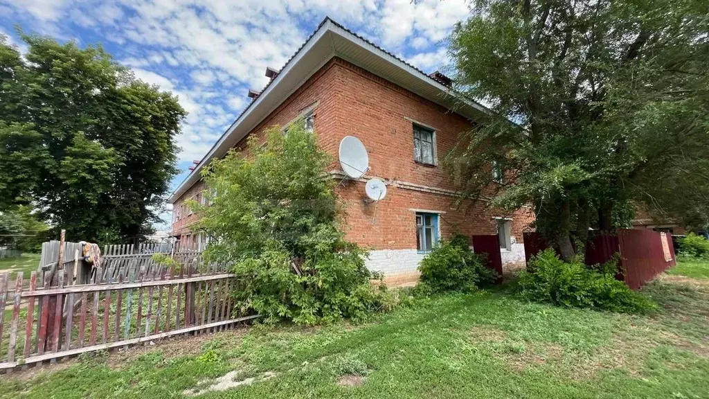 Студия Оренбургская область, Саракташский район, с. Новочеркасск ... - Фото 1