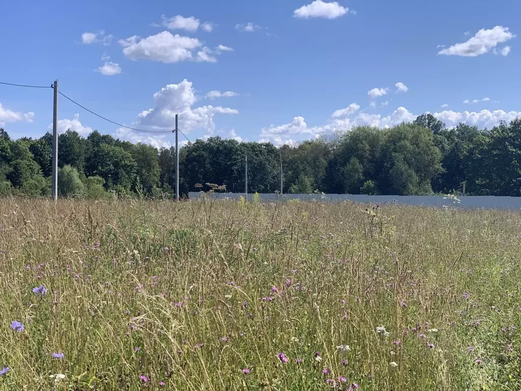 Участок в Тульская область, Алексин городской округ, с. Сенево  (12.0 ... - Фото 2