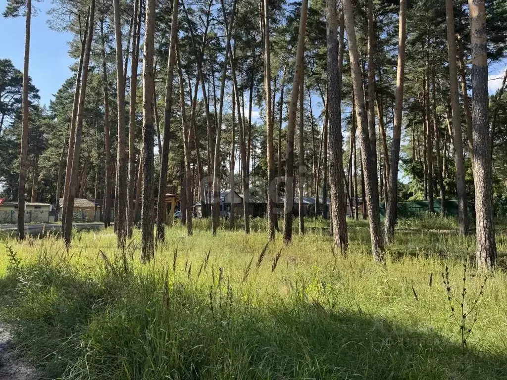 Участок в Тамбовская область, Тамбов ул. имени Маршала Малиновского, ... - Фото 0