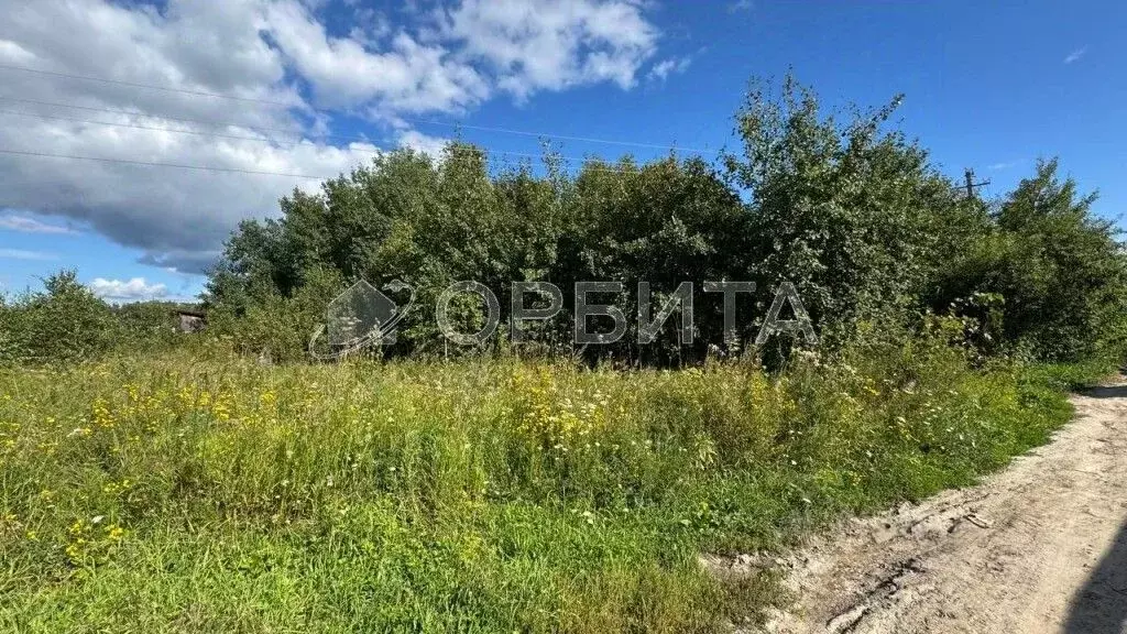 Участок в Тюменская область, Нижнетавдинский муниципальный округ, ... - Фото 2