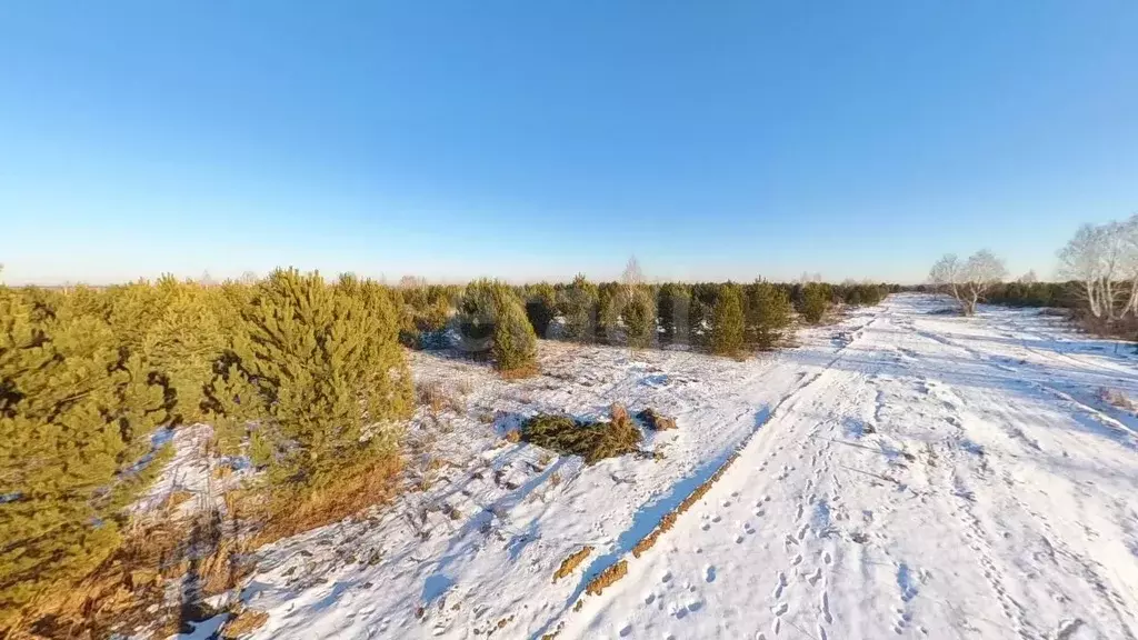 Участок в Тюменская область, Тюменский район, Новокаменский кп  (20.0 ... - Фото 0