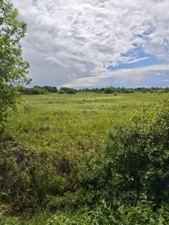 Участок в Новгородская область, Новгородский район, Трубичинское ... - Фото 1