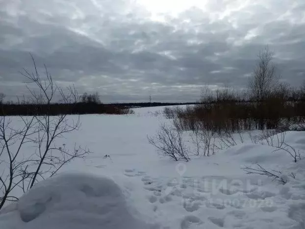 Участок в Московская область, Дмитровский муниципальный округ, д. ... - Фото 0