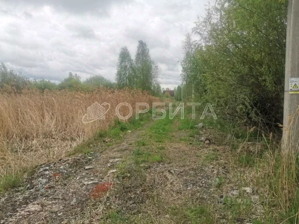 Участок в Тюменская область, Нижнетавдинский район, Мечта ДНТ ул. 6-я ... - Фото 1
