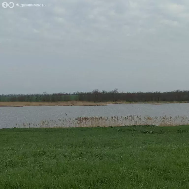 Участок в Новощербиновская, Запорожская улица (11 м) - Фото 1