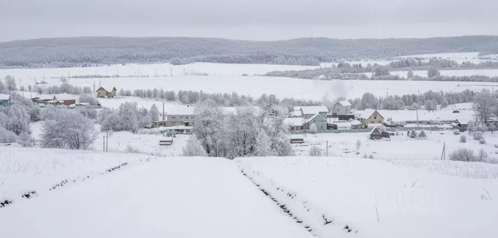 Участок в Пермский край, Пермский муниципальный округ, Болдино Лайф ... - Фото 1