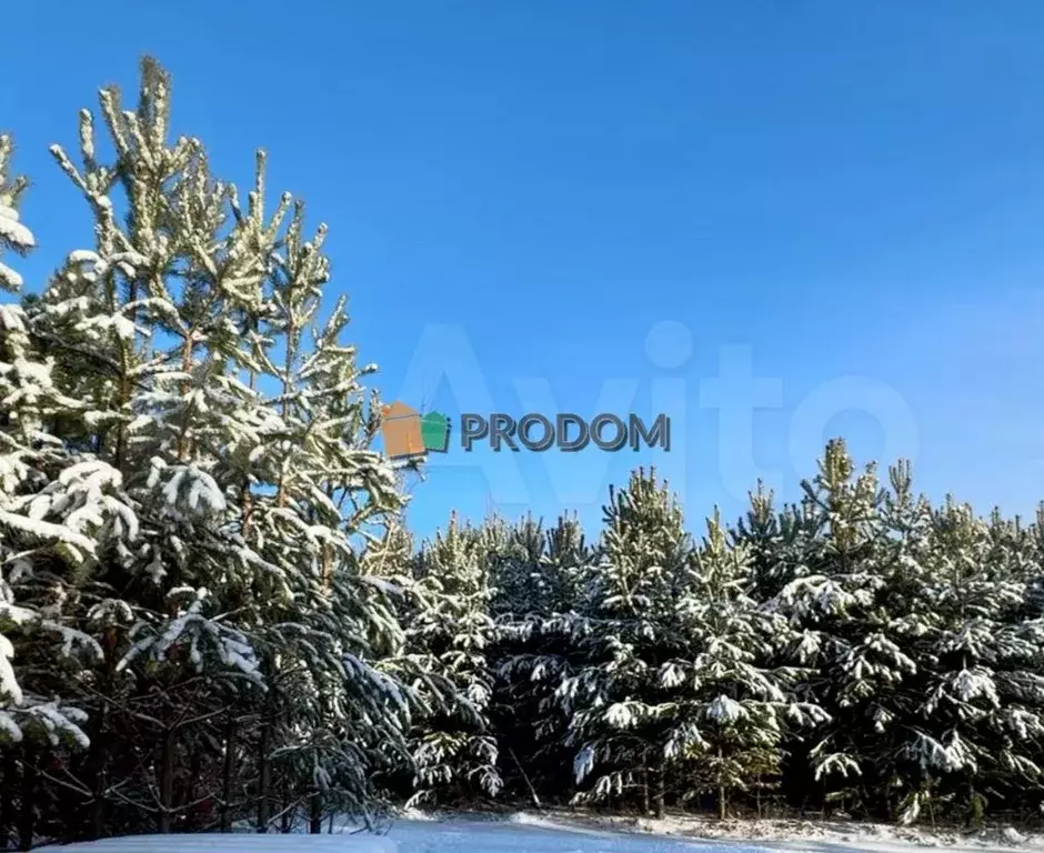 Участок 10 сот. (ИЖС) - Фото 0