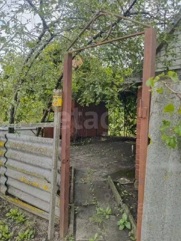 Участок в Белгородская область, Корочанский район, Мелиховское с/пос, ... - Фото 1