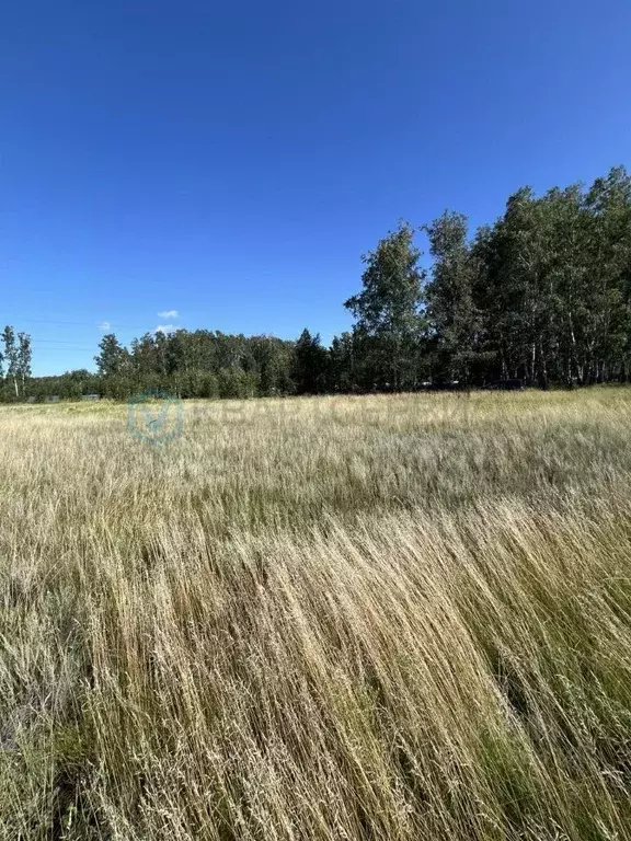 Участок в Омская область, Омский район, Пушкинское с/пос, д. ... - Фото 1