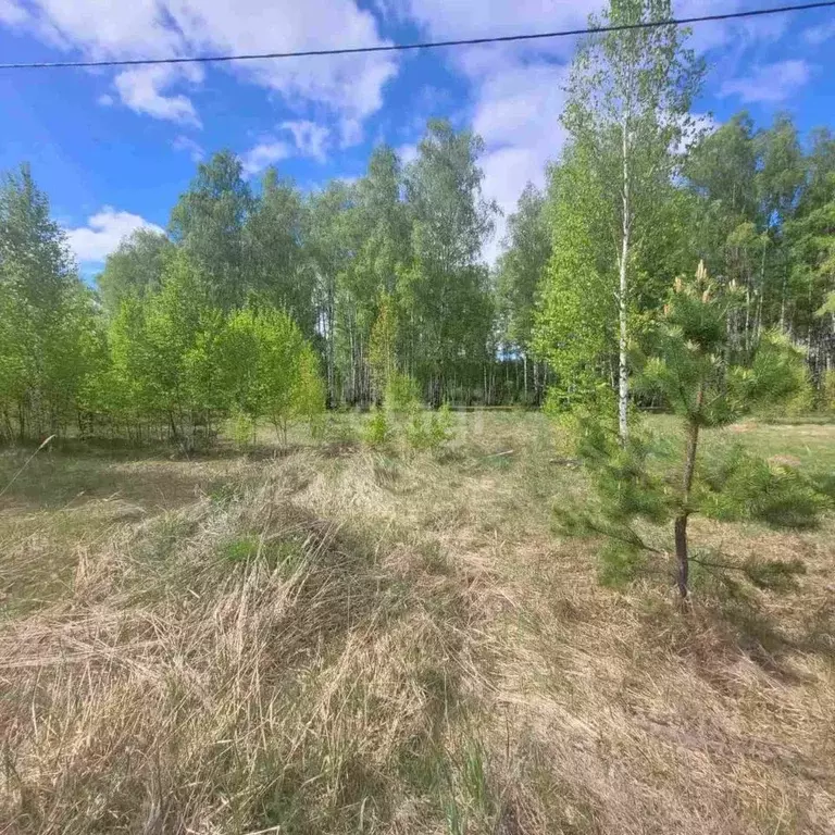 Участок в Владимирская область, Муром д. Коржавино, ул. Березовая Роща ... - Фото 1