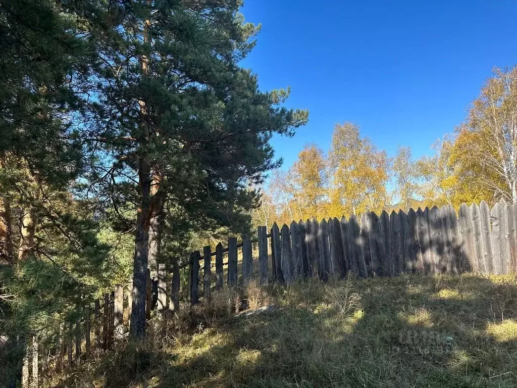 Участок в Алтай, Чемальский район, с. Чемал ул. Прикатунская, 26 (12.5 ... - Фото 1