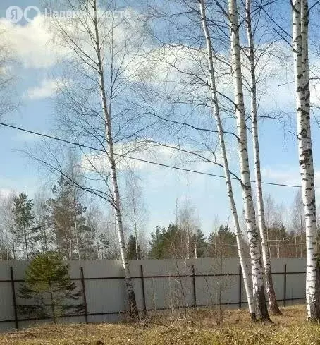 Участок в Ленинградская область, Гатчинский муниципальный округ, ... - Фото 2