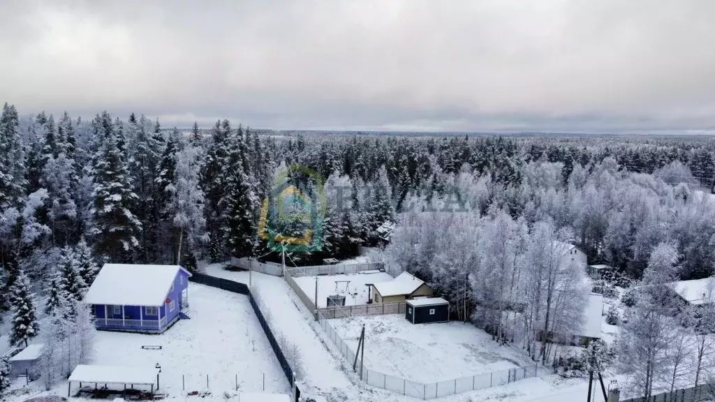 Участок в Ленинградская область, Приозерский район, Раздольевское ... - Фото 2