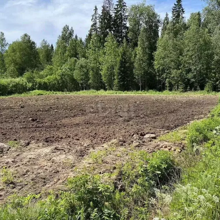 Участок в Коми, Сыктывдинский район, с. Выльгорт  (20.85 сот.) - Фото 2