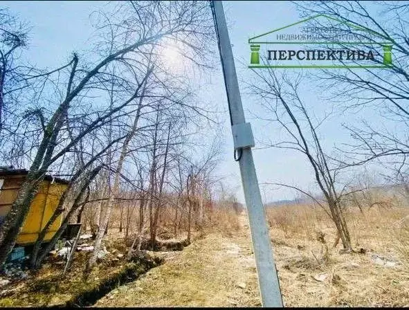 Участок в Приморский край, Артем Березка-3 СТ,  (1000.0 сот.) - Фото 1