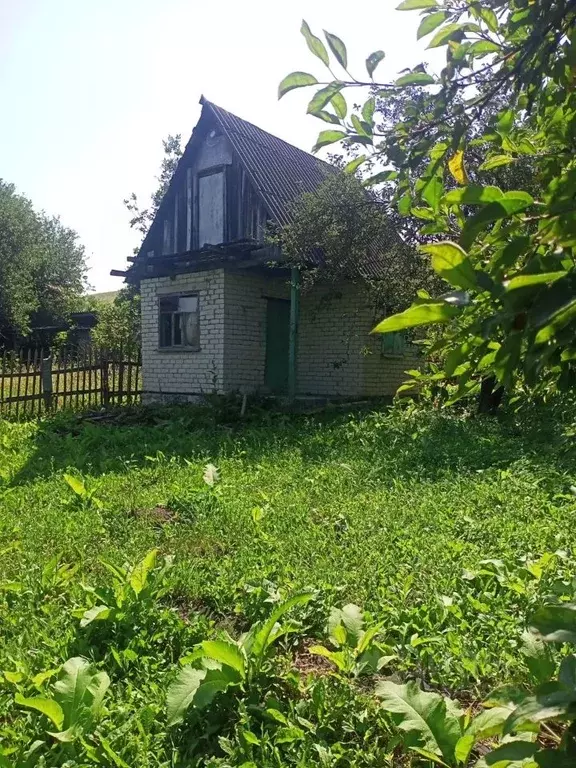 Дом в Белгородская область, Белгородский район, Ериковское с/пос, ... - Фото 2