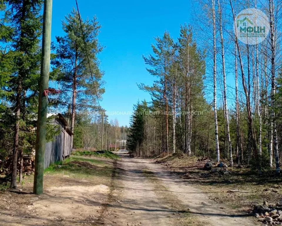 участок в карелия, прионежский район, деревянское с/пос, малахит снт . - Фото 0