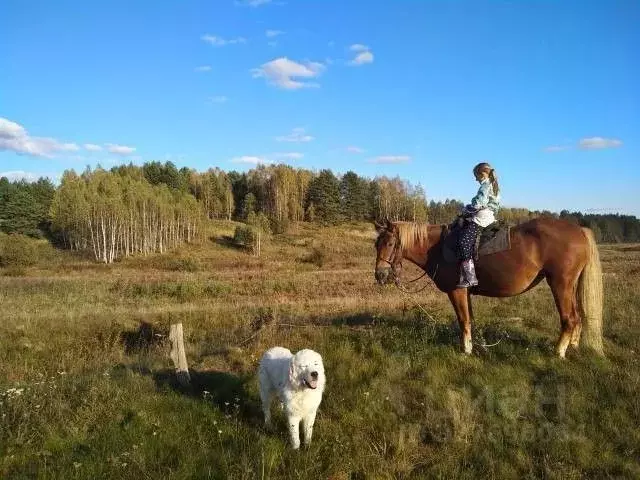 Участок в Калужская область, Мещовский муниципальный округ, Серпейск ... - Фото 1