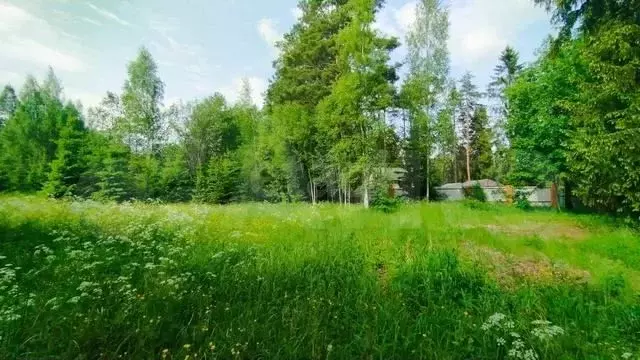Участок 12,3 сот. (личное подсобное хозяйство (лпх)) - Фото 1