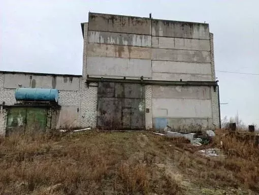 Производственное помещение в Алтайский край, Заринск Зеленая ул., 56 ... - Фото 0