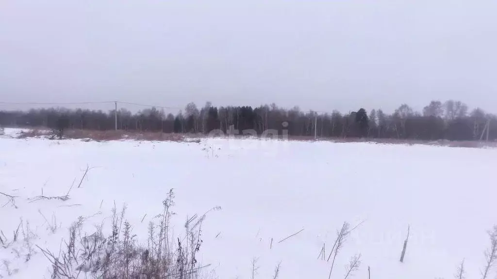 Участок в Томская область, Томский район, с. Кафтанчиково  (9.2 сот.) - Фото 0