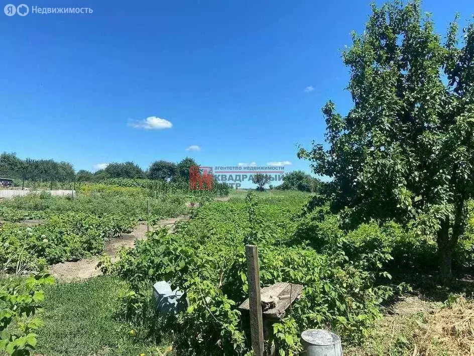 Дом в село Тростенец, Нагорная улица, 15 (45 м) - Фото 0