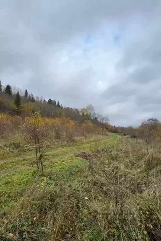 Участок в Новгородская область, Маловишерский район, Бургинское с/пос, ... - Фото 1