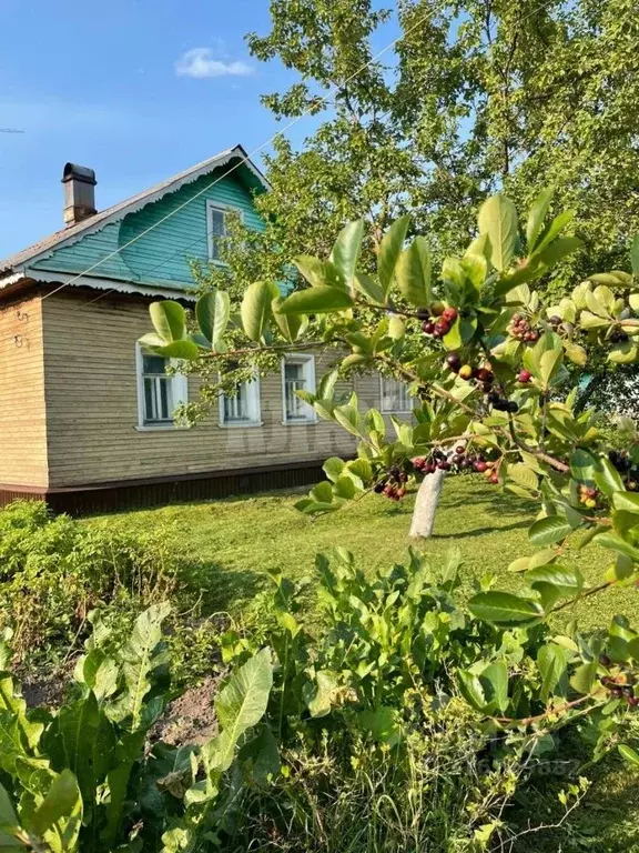 Дом в Вологодская область, Сокол Литейная ул. (64 м) - Фото 1