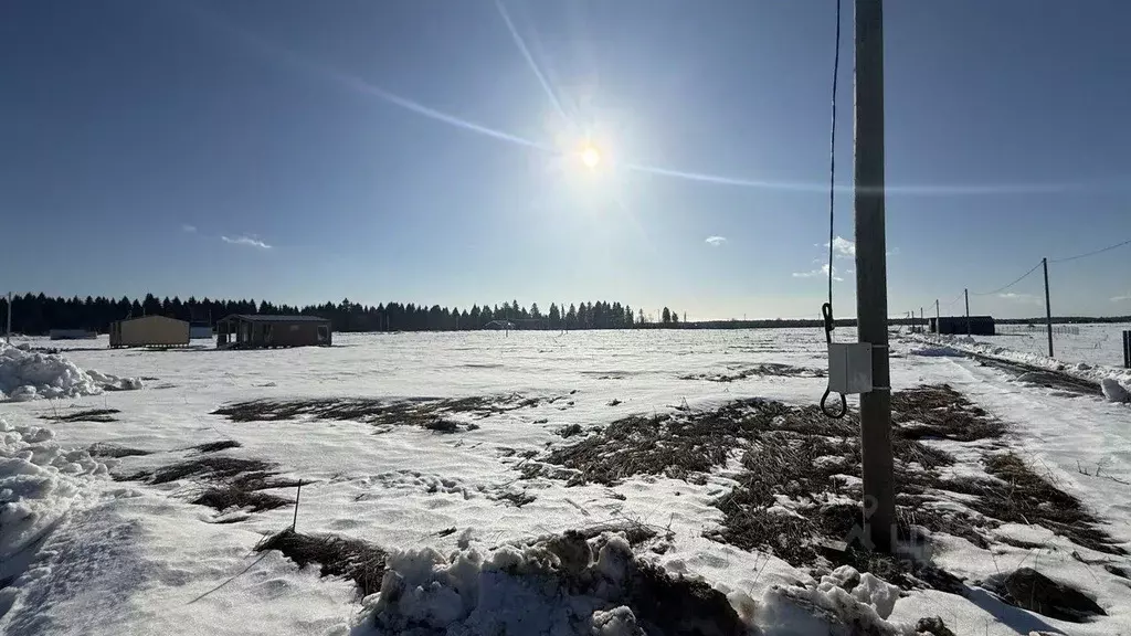 Участок в Ленинградская область, Ломоносовский район, Гостилицкое ... - Фото 1