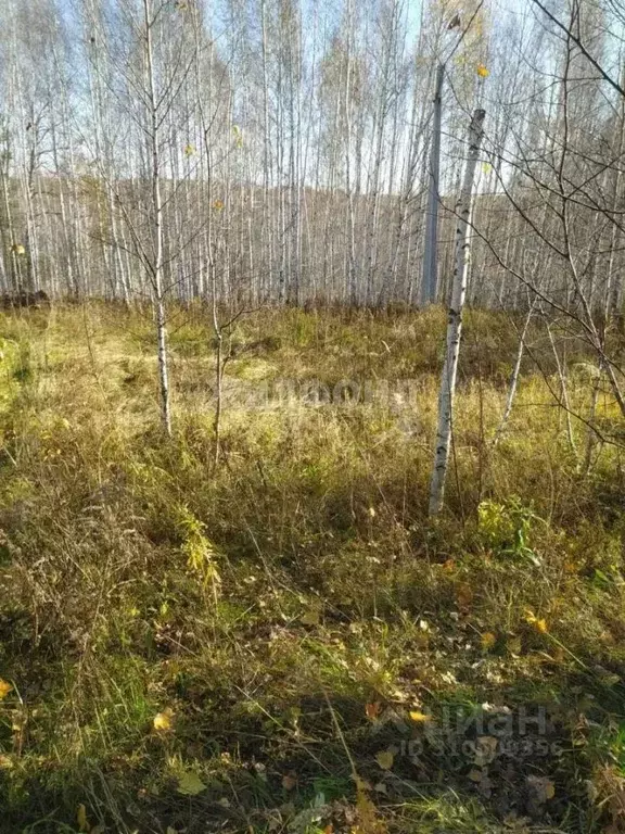 Участок в Новосибирская область, Новосибирск Зеленодолинская ул. (6.0 ... - Фото 0