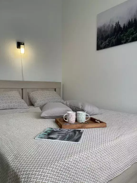 1-к кв. Санкт-Петербург Железнодорожный просп., 14к1 (35.0 м) - Фото 1