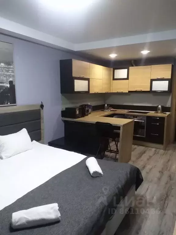 1-к кв. Санкт-Петербург просп. Обуховской обороны, 138к2 (24.0 м) - Фото 2