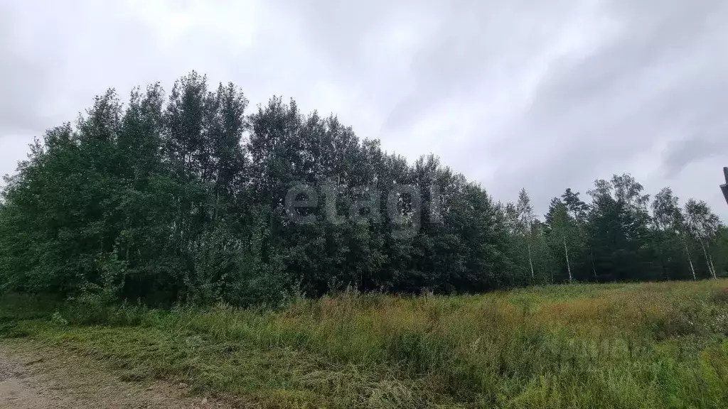 Участок в Тюменская область, Нижнетавдинский район, Сочинские СНТ  ... - Фото 0