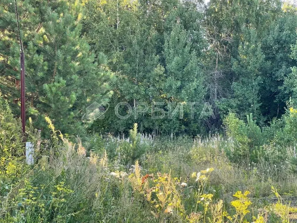 Участок в Тюменская область, Тюмень Пшеничная ул. (5.0 сот.) - Фото 1
