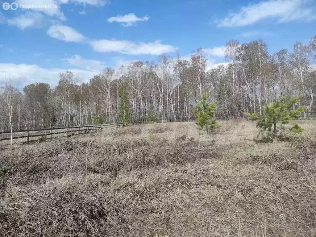 Участок в Тюменский район, село Каменка (20.2 м) - Фото 0