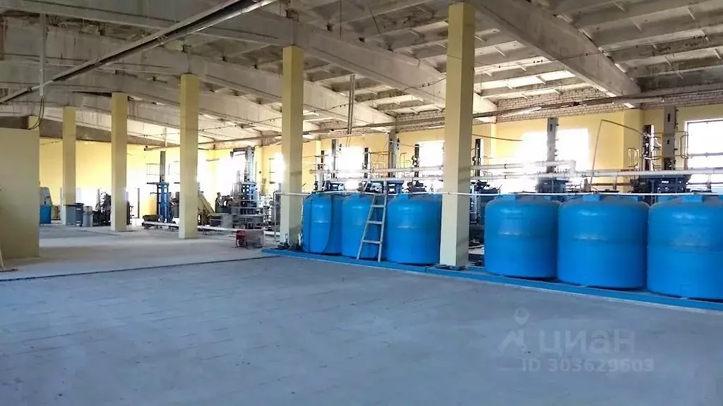 Производственное помещение в Смоленская область, Руднянский ... - Фото 1