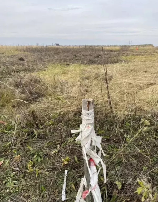 Участок в Тамбовская область, Тамбовский муниципальный округ, д. ... - Фото 1