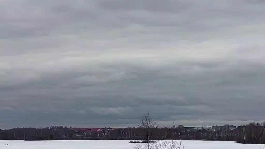 Участок в Московская область, Богородский городской округ, пос. ... - Фото 0