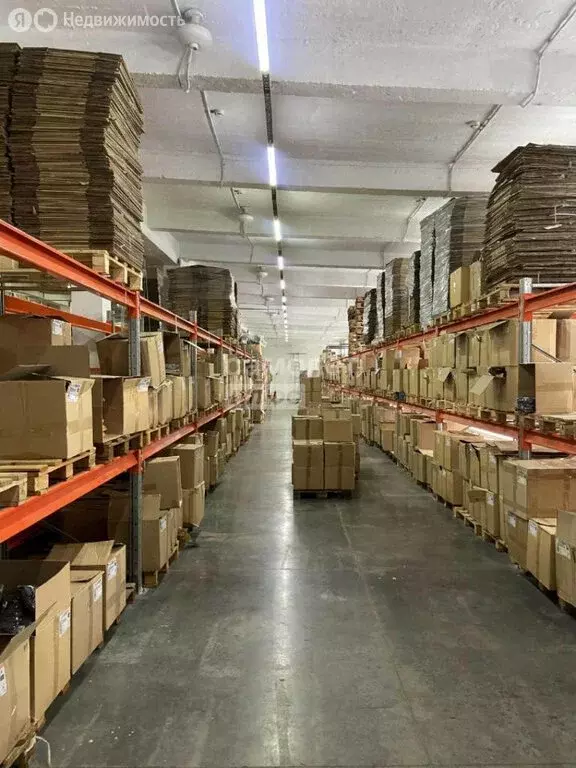 Склад (1129.2 м) - Фото 2