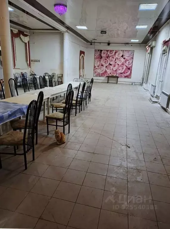 Помещение свободного назначения в Оренбургская область, Домбаровский ... - Фото 1