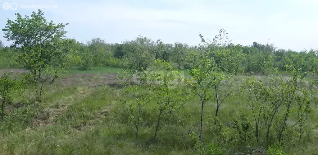 Участок в село Верхнепогромное, Зелёная улица (15 м) - Фото 1